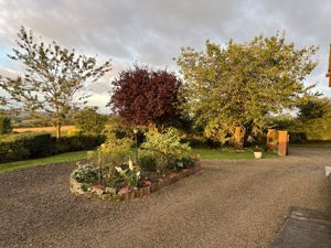 Photo 22- click for photo gallery